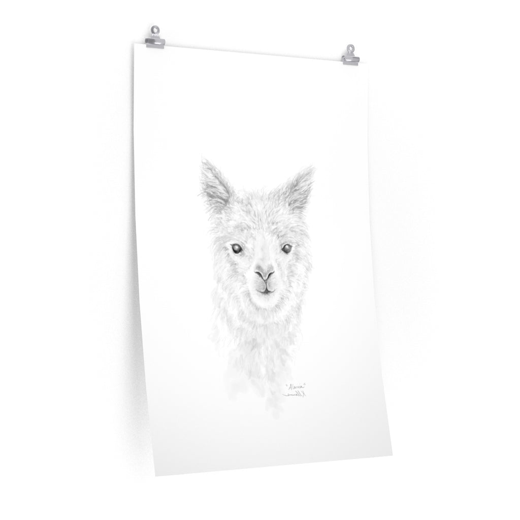 ALARIA Llama- Art Paper Print