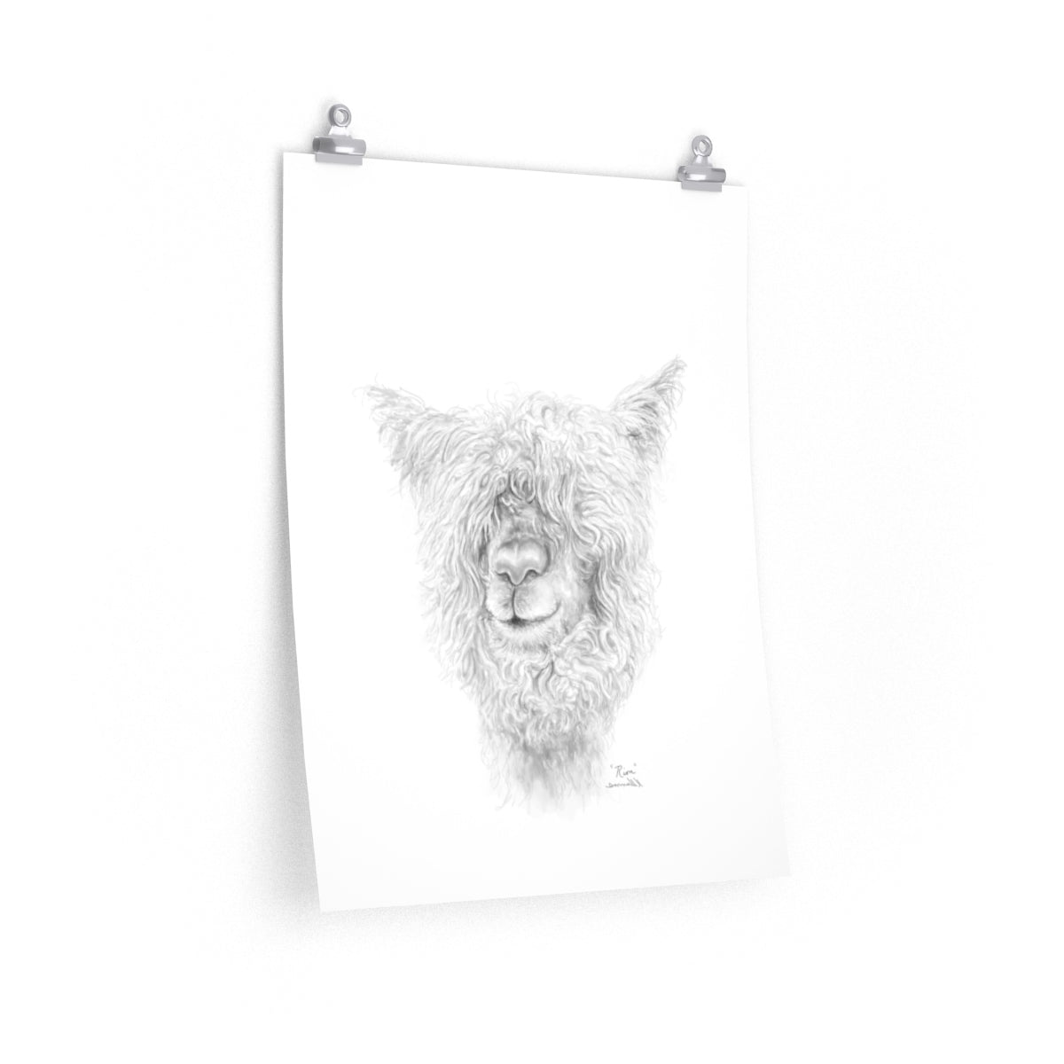 RION Llama- Art Paper Print