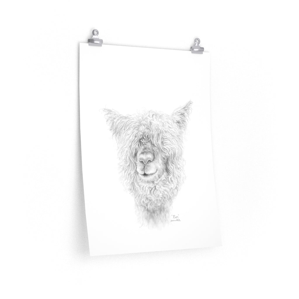 RION Llama- Art Paper Print