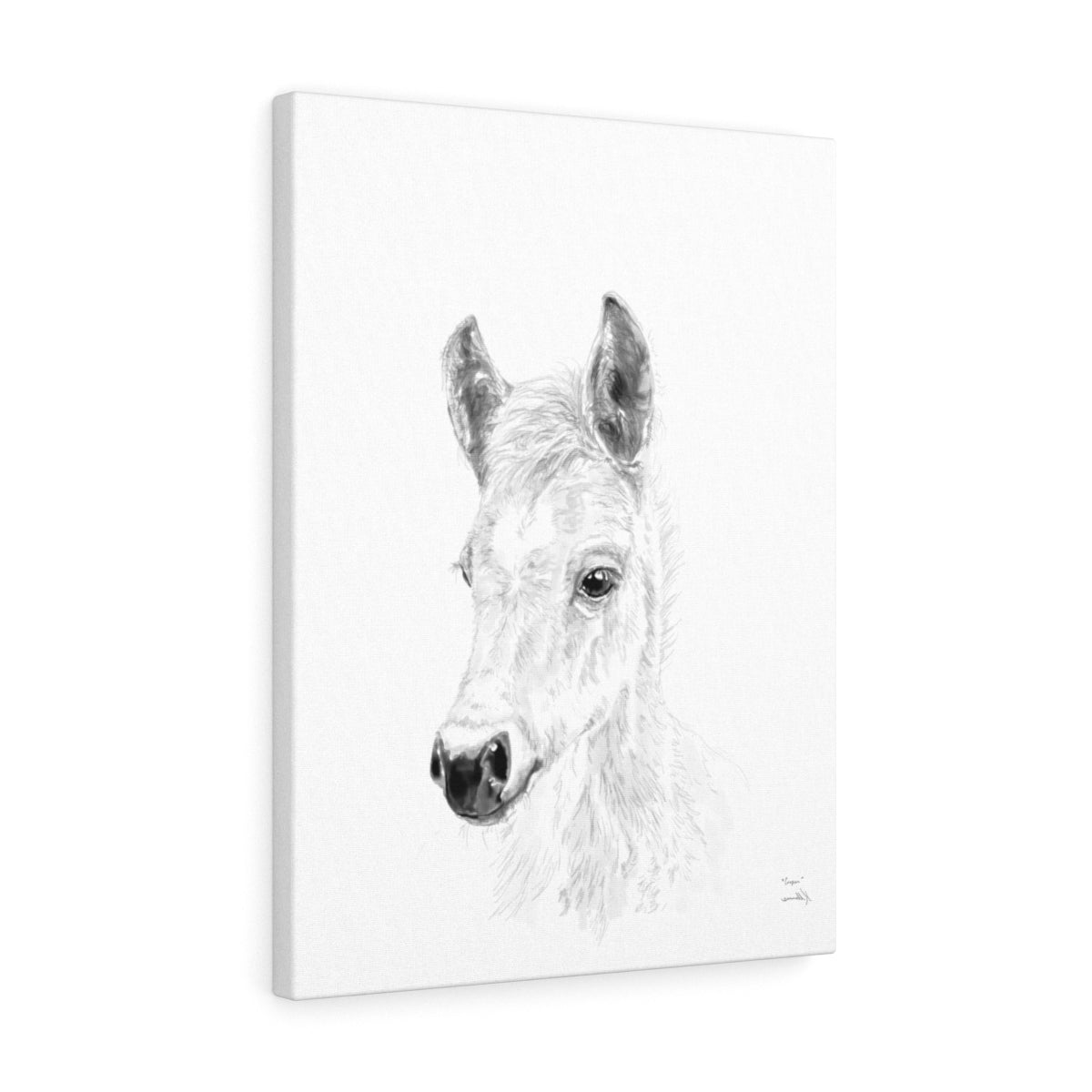 Cooper Horse - Animal Art Canvas