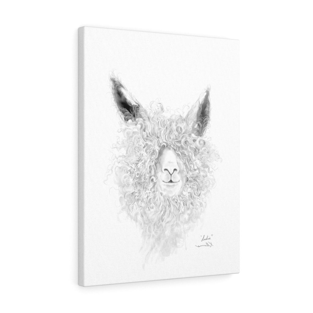 LESLIE llama- Art Canvas