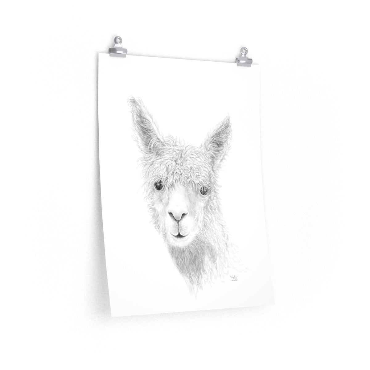 HAYDEN Llama- Art Paper Print
