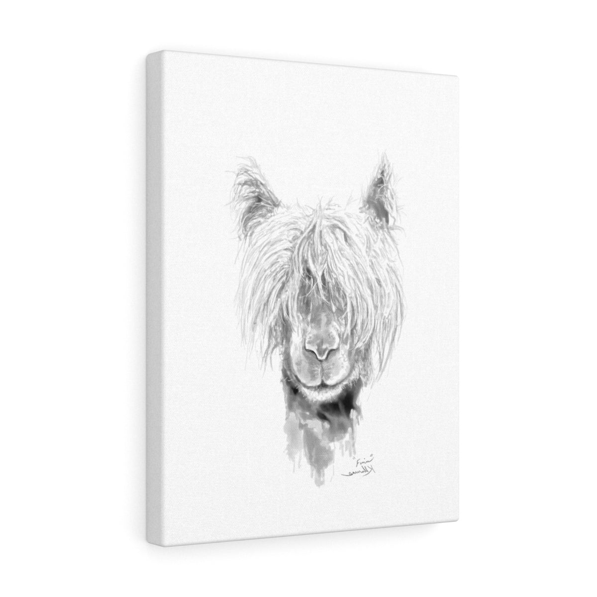 FINN Llama - Art Canvas