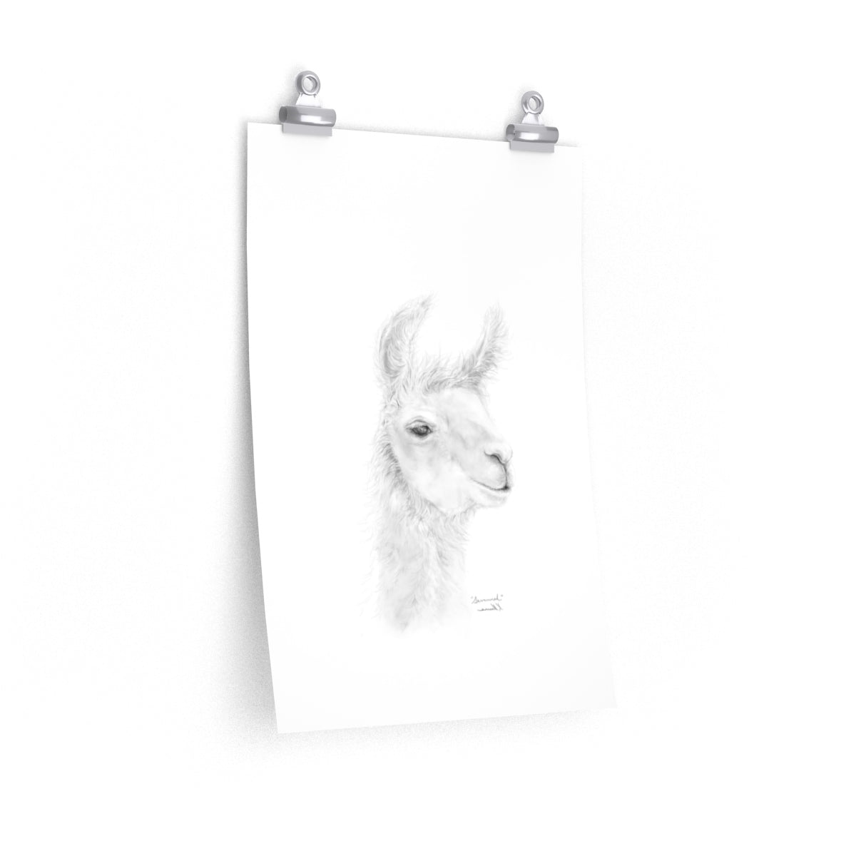 SAVANNAH Llama- Art Paper Print