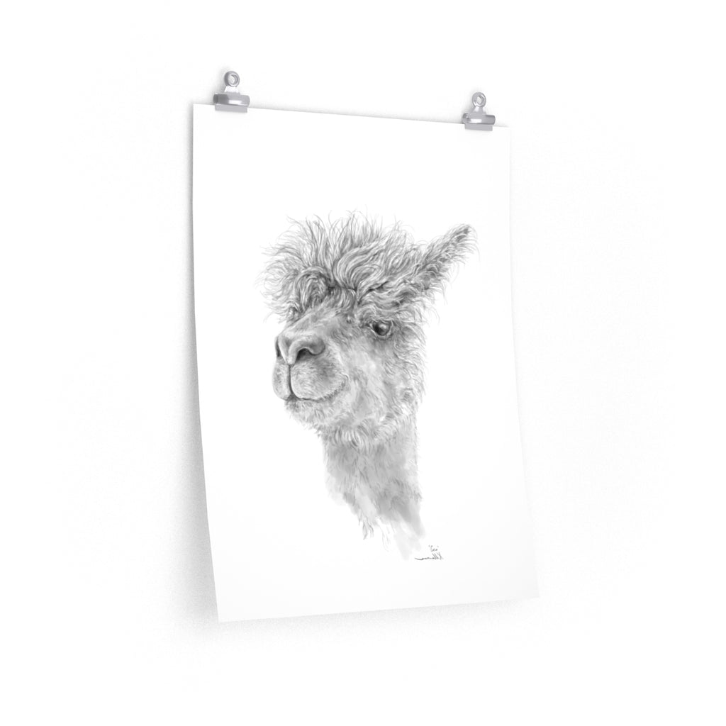 COCO Llama- Art Paper Print