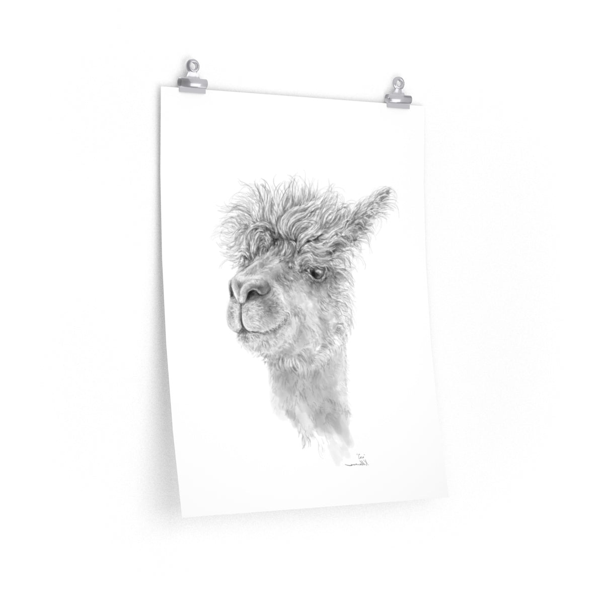 COCO Llama- Art Paper Print