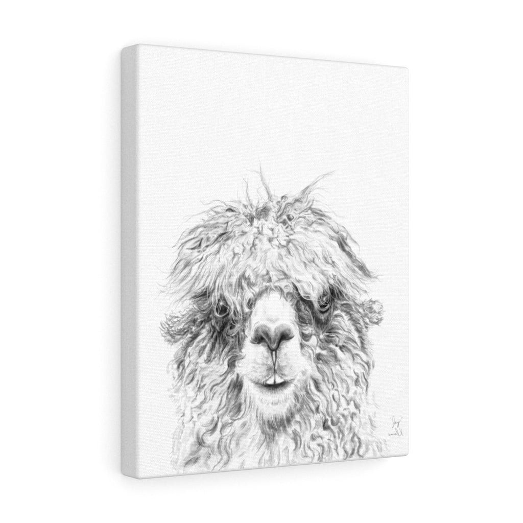 JAY Llama - Art Canvas