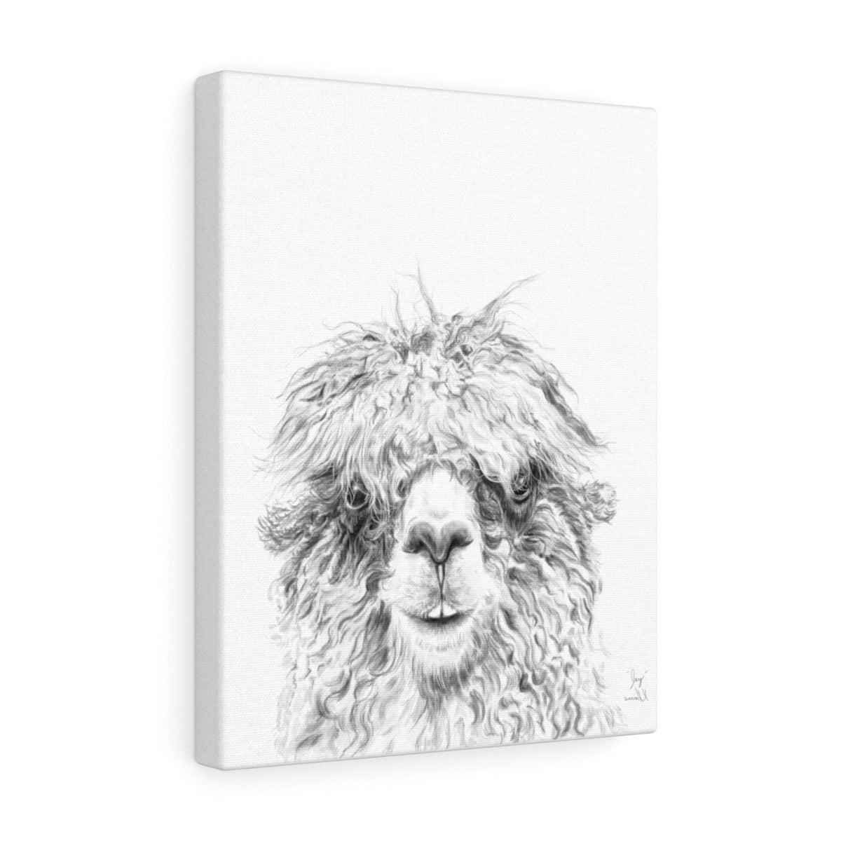 JAY Llama - Art Canvas