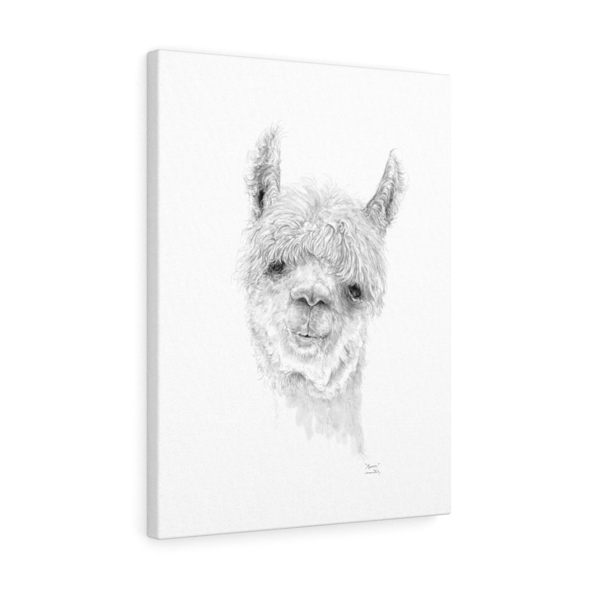 MASON Llama - Art Canvas