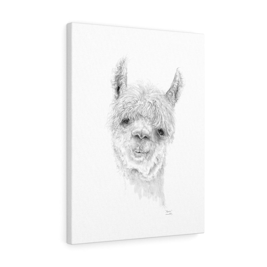 MASON Llama - Art Canvas