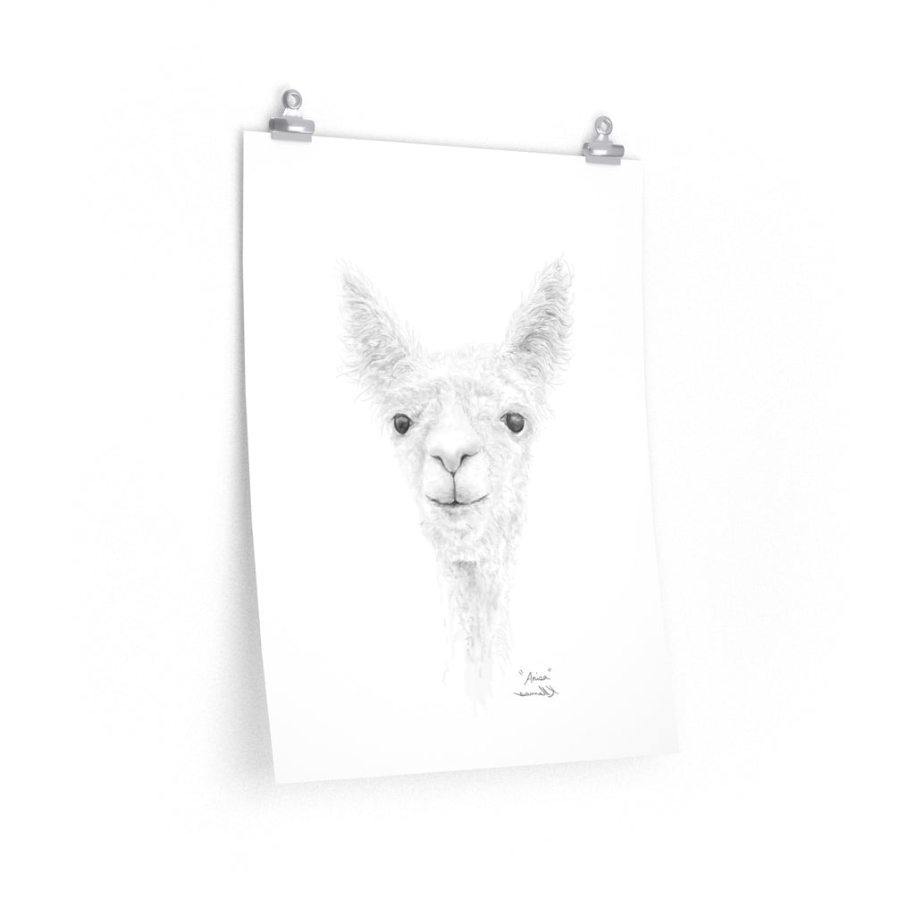 ANISA Llama- Art Paper Print