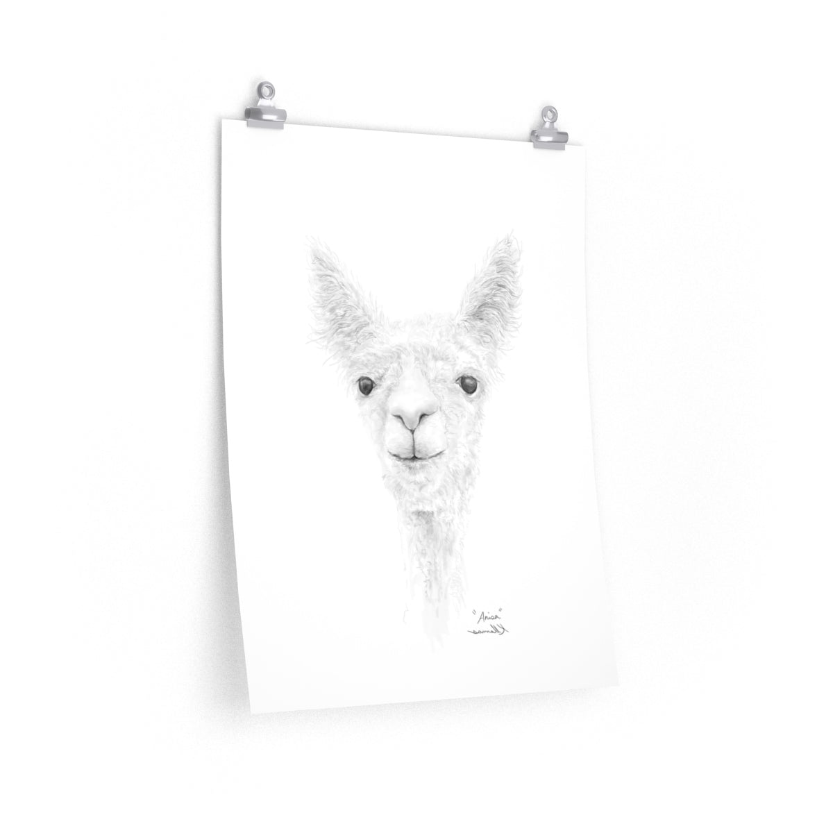 ANISA Llama- Art Paper Print