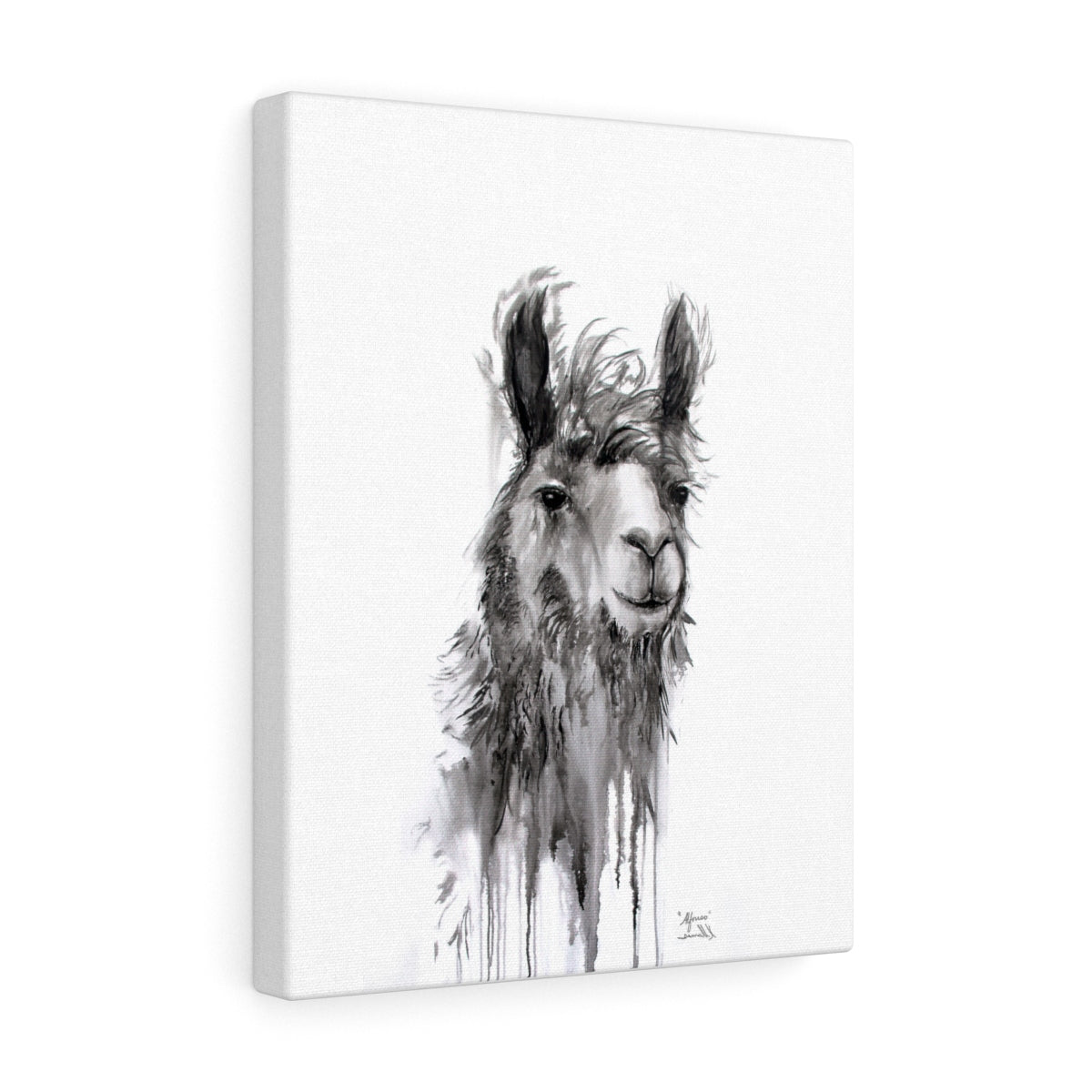 ALFONSO Llama - Art Canvas