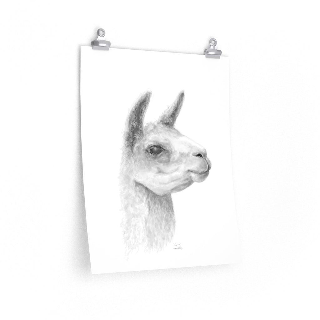 CIERRA Llama- Art Paper Print