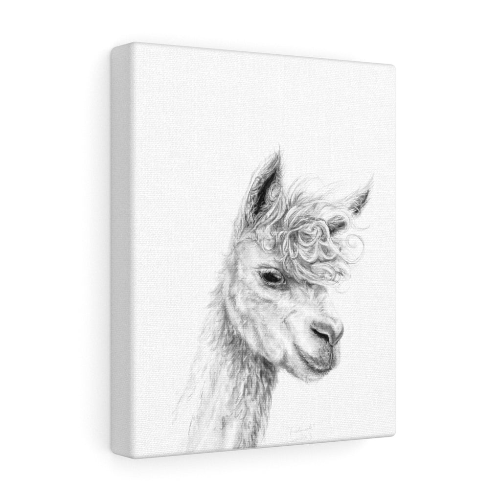 FREDERICK Llama - Art Canvas