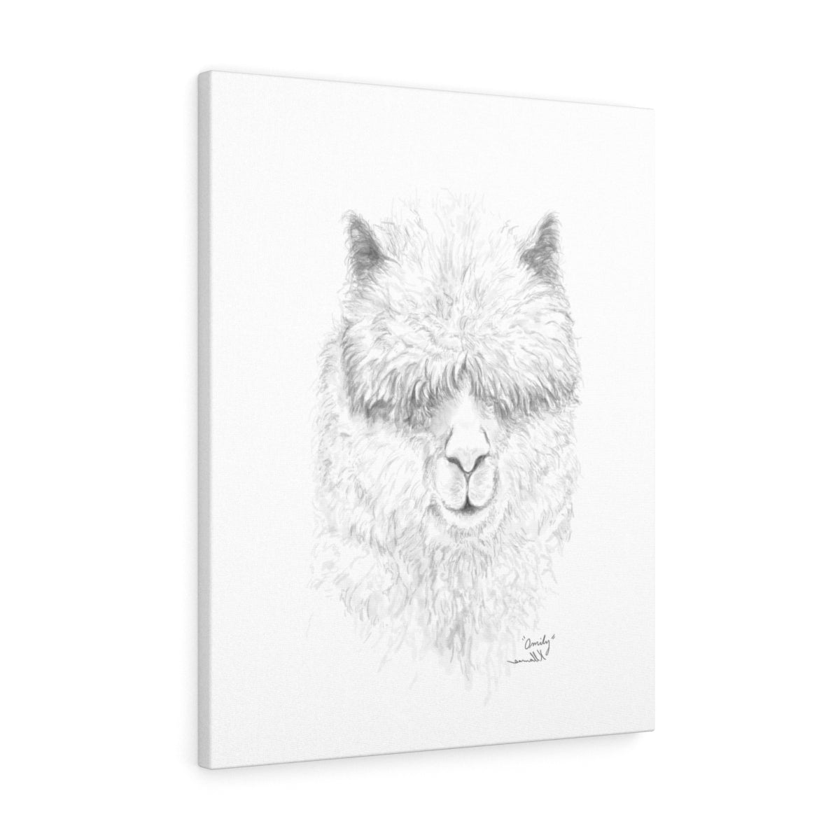 OMILY Llama - Art Canvas