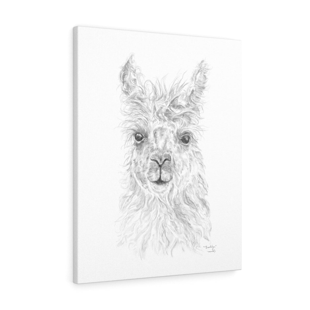 BROOKLYN Llama - Art Canvas
