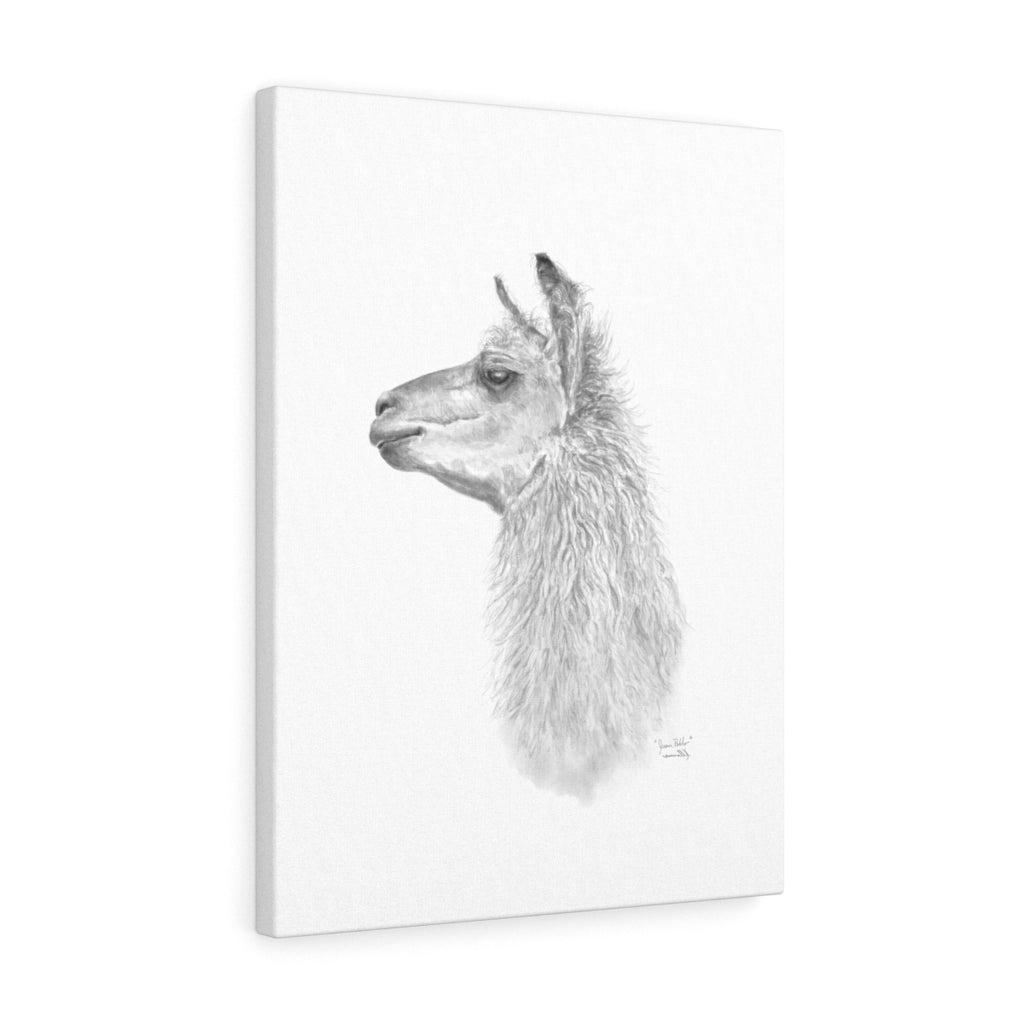 JUAN PABLO Llama - Art Canvas