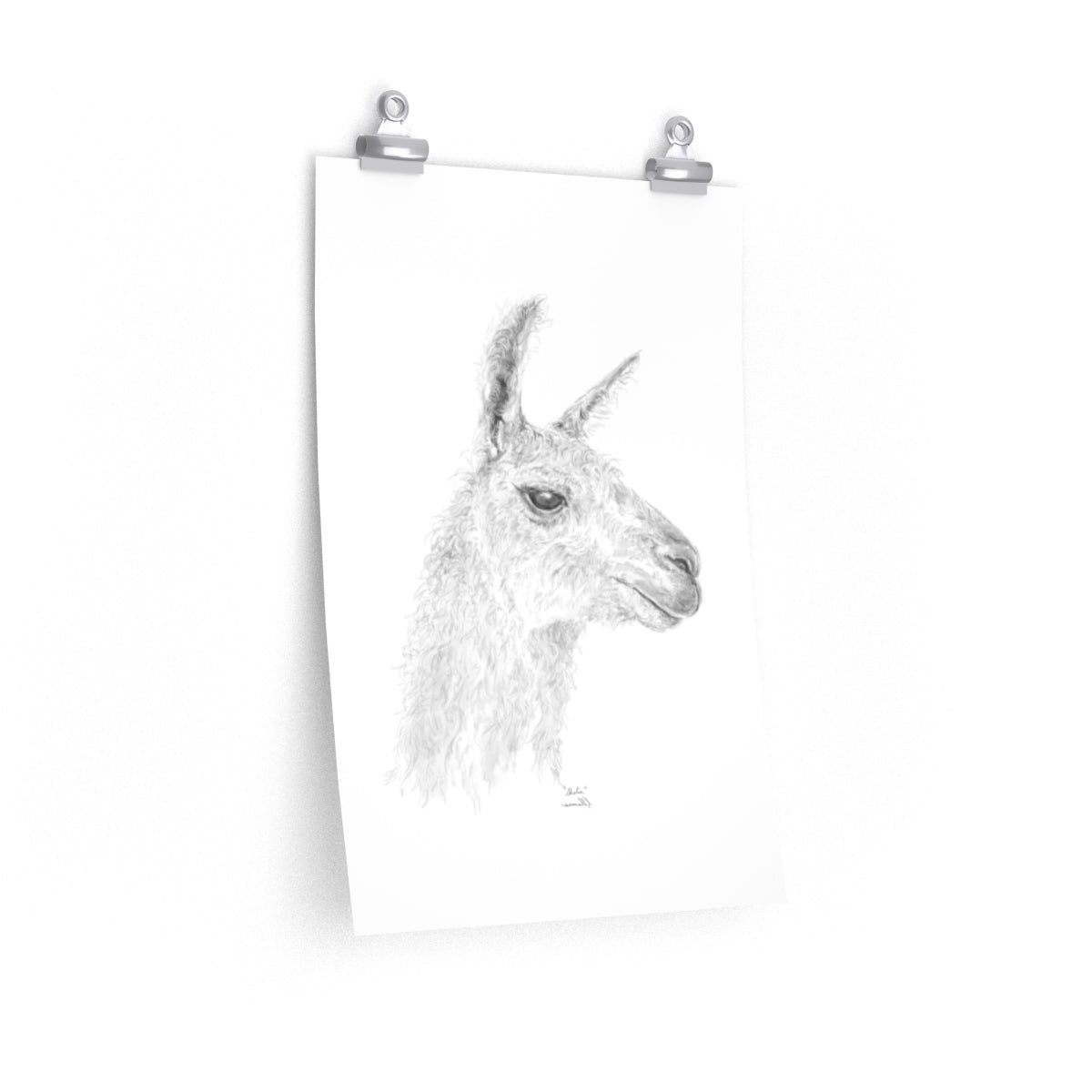 SHELIA Llama- Art Paper Print