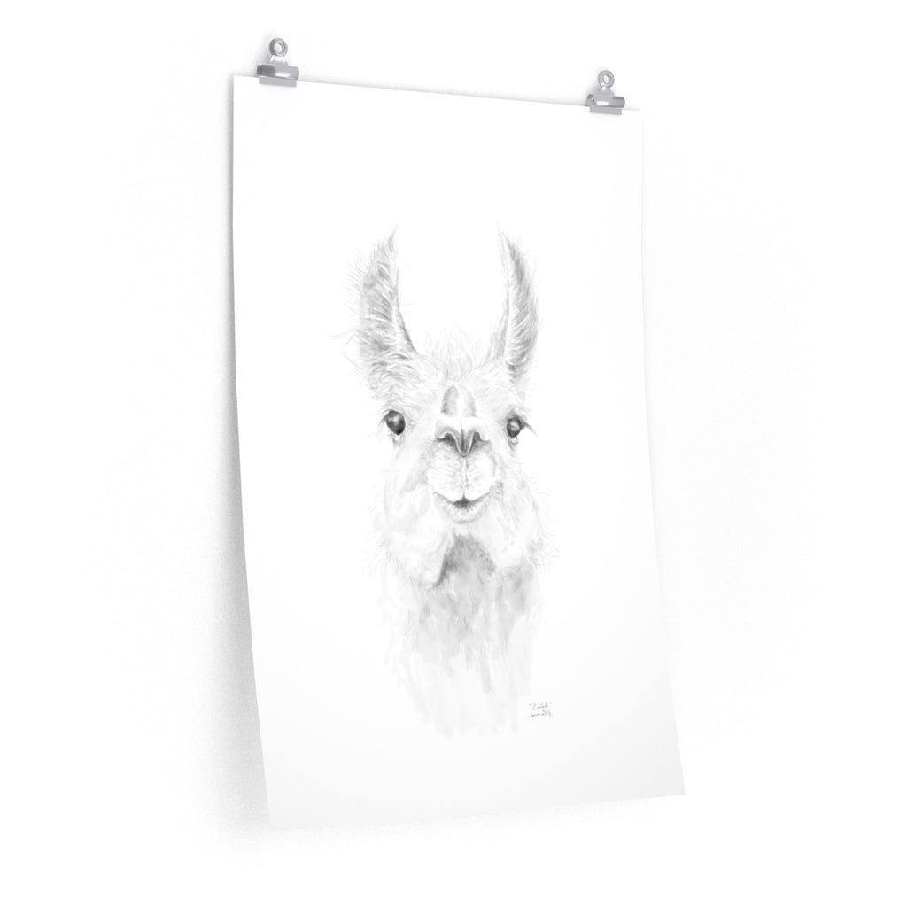 ZAILAH Llama- Art Paper Print