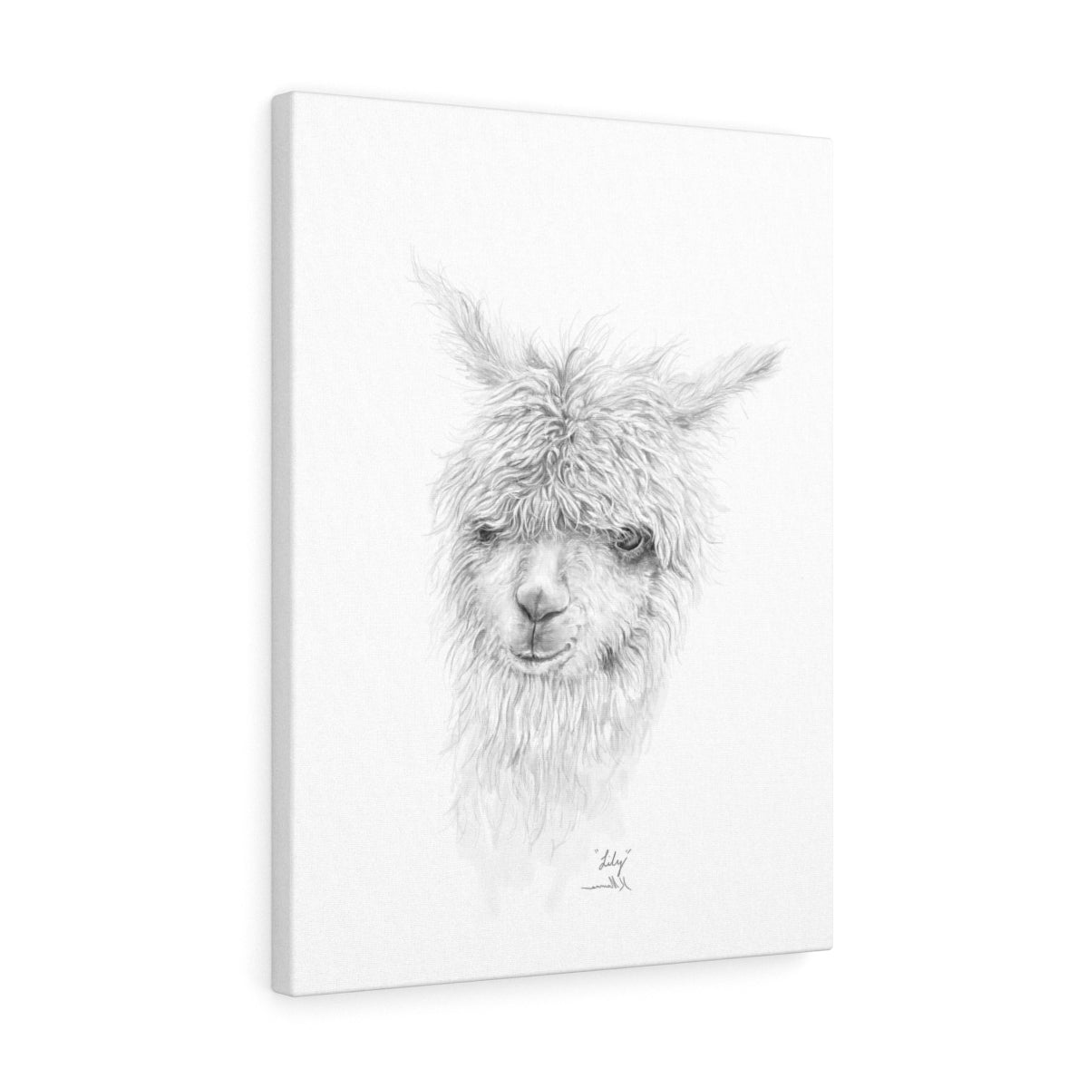 LILY Llama - Art Canvas