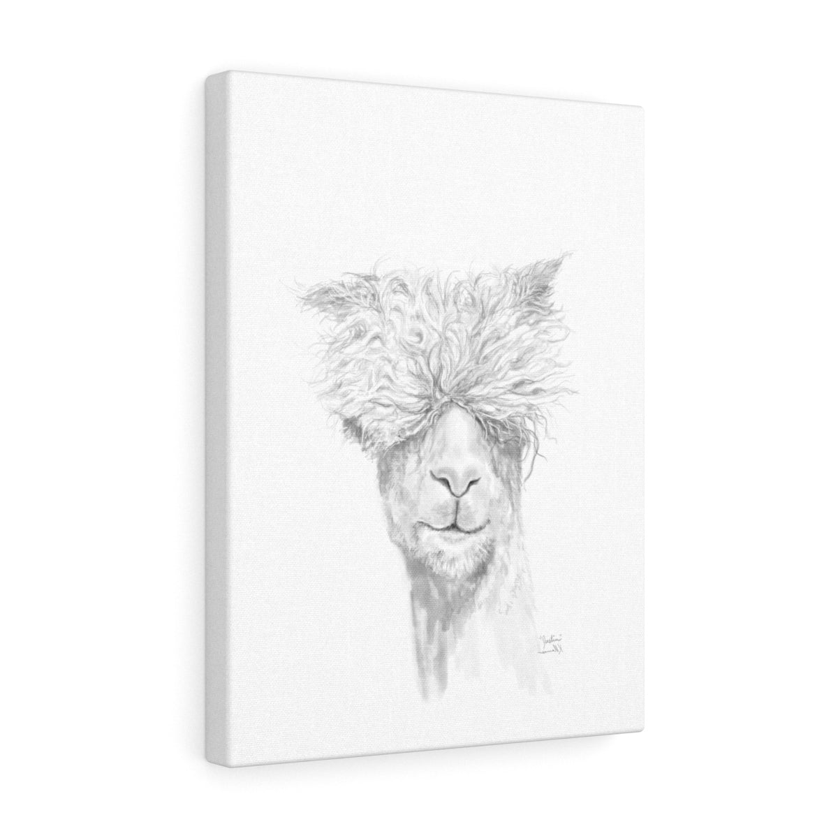 JUSTIN Llama - Art Canvas