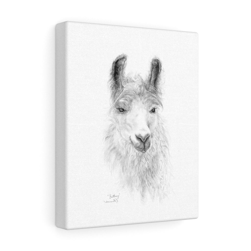 BRITTANY Llama - Art Canvas
