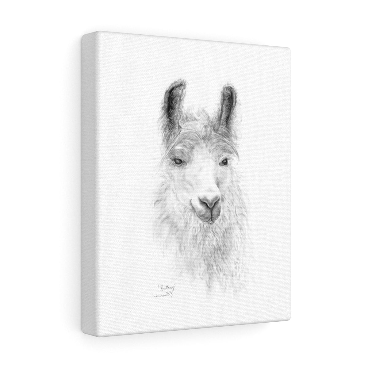 BRITTANY Llama - Art Canvas