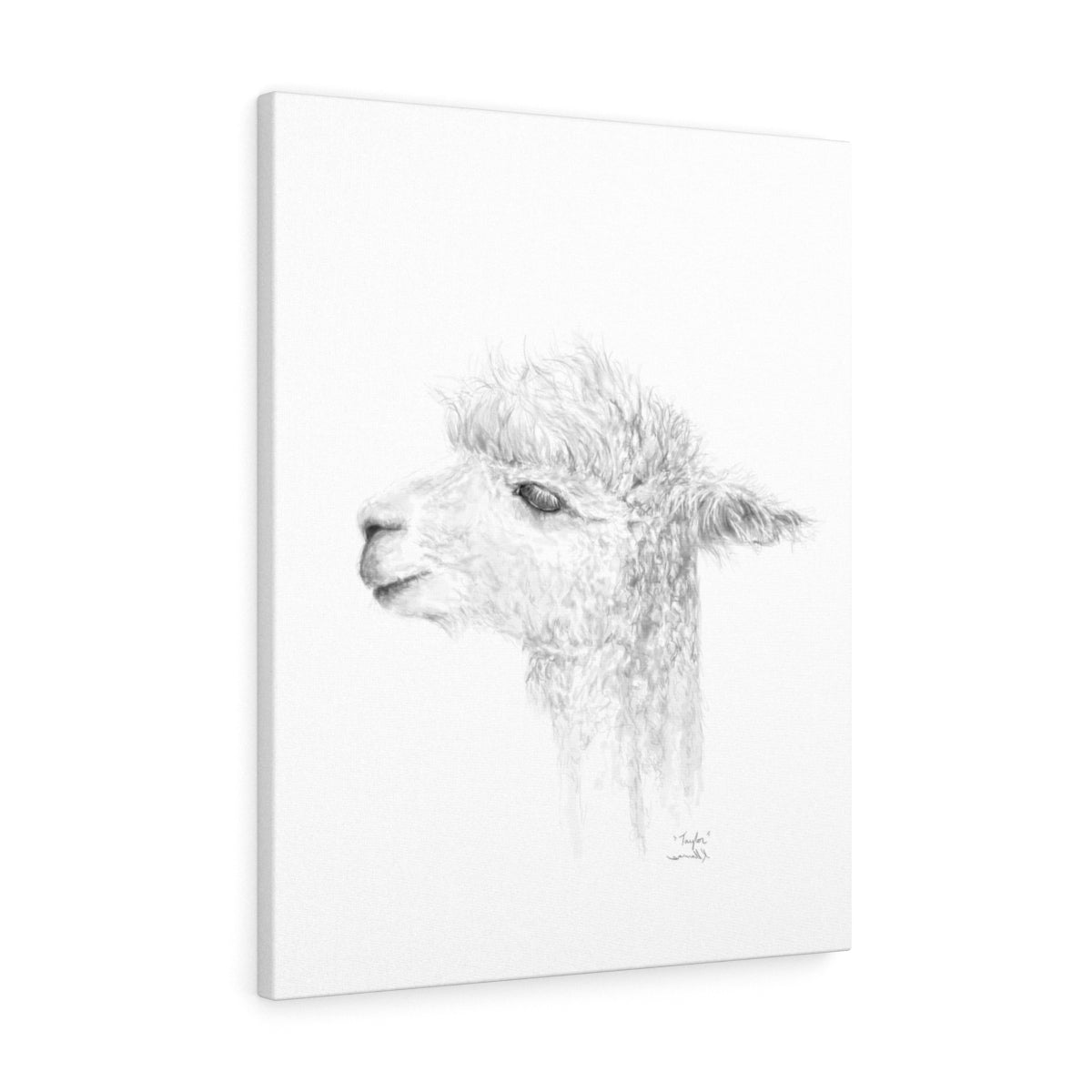 TAYLOR Llama - Art Canvas