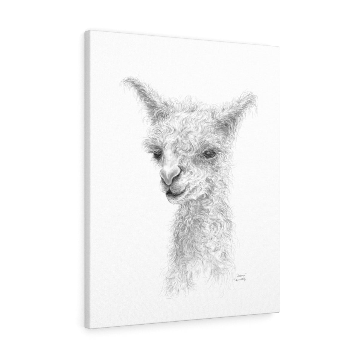 SIERRA Llama - Art Canvas