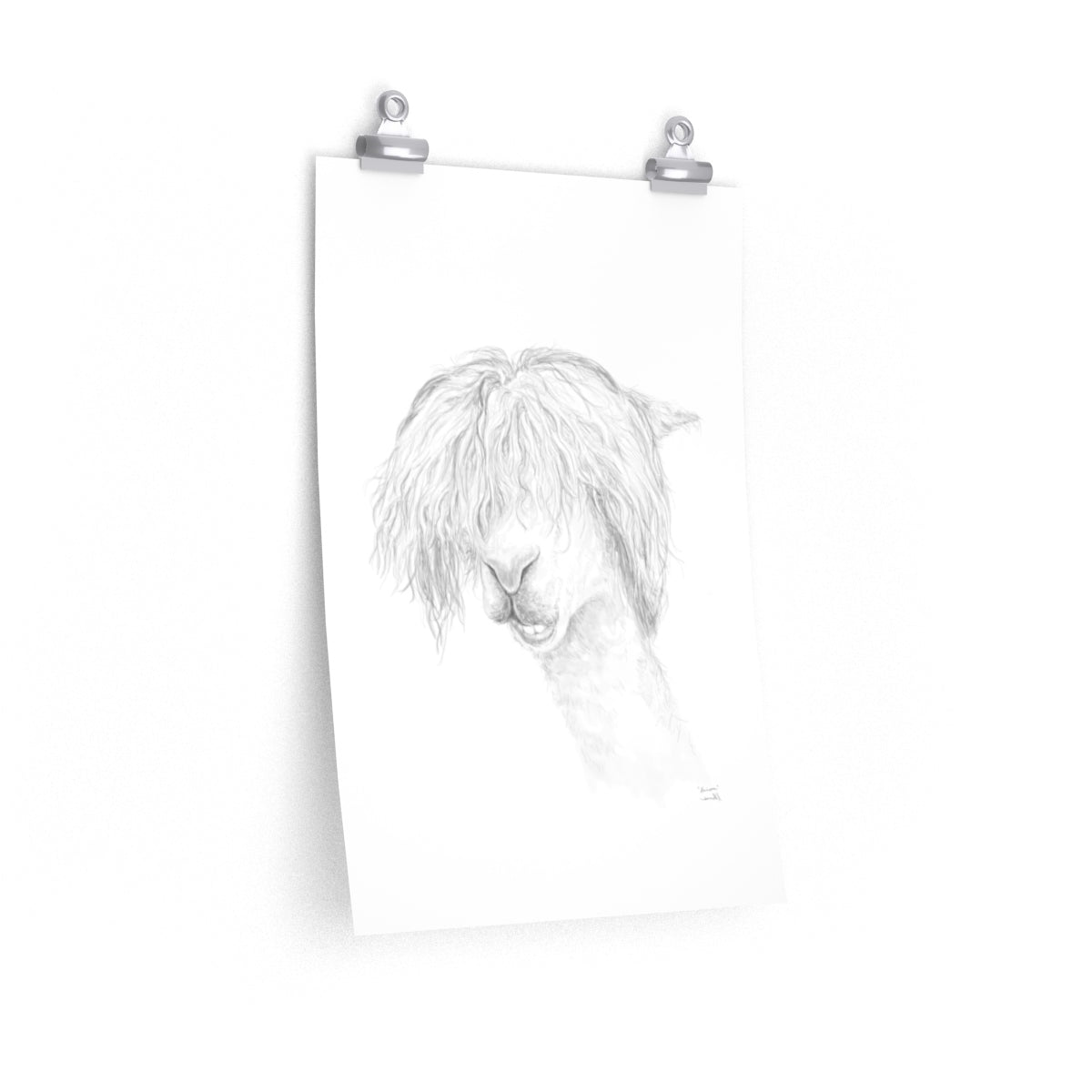 HARRISON Llama- Art Paper Print