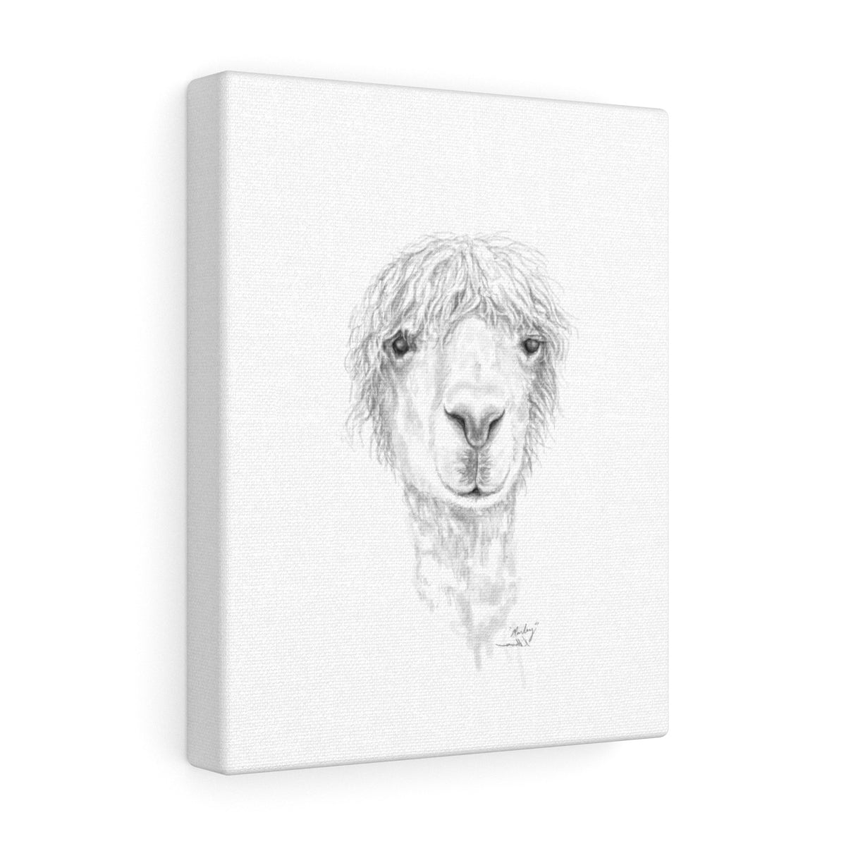 MARLEY Llama - Art Canvas