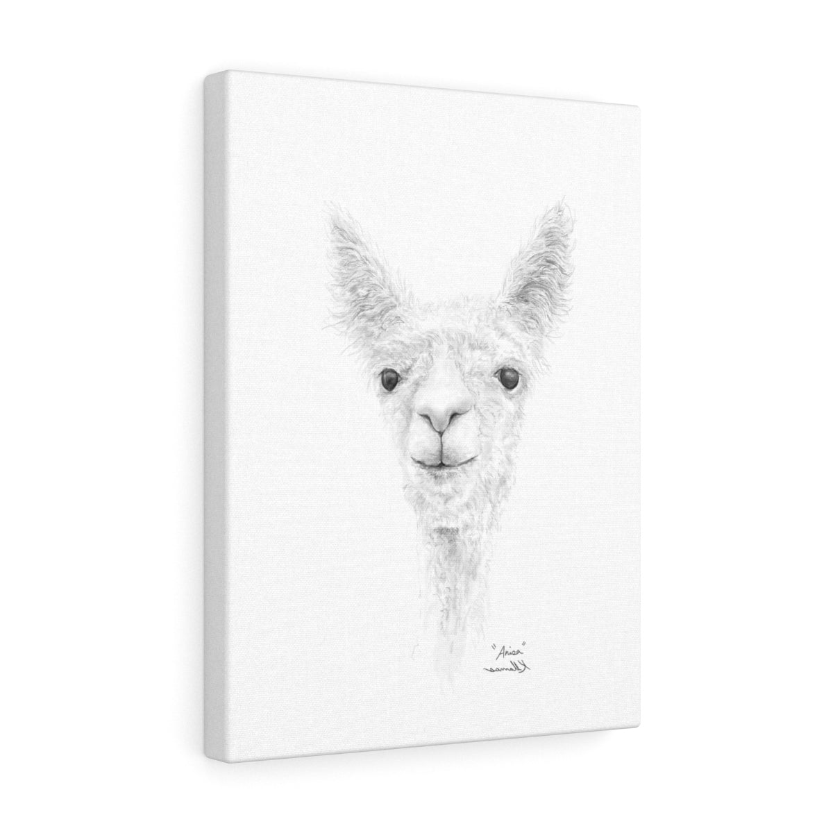ANISA Llama- Art Canvas