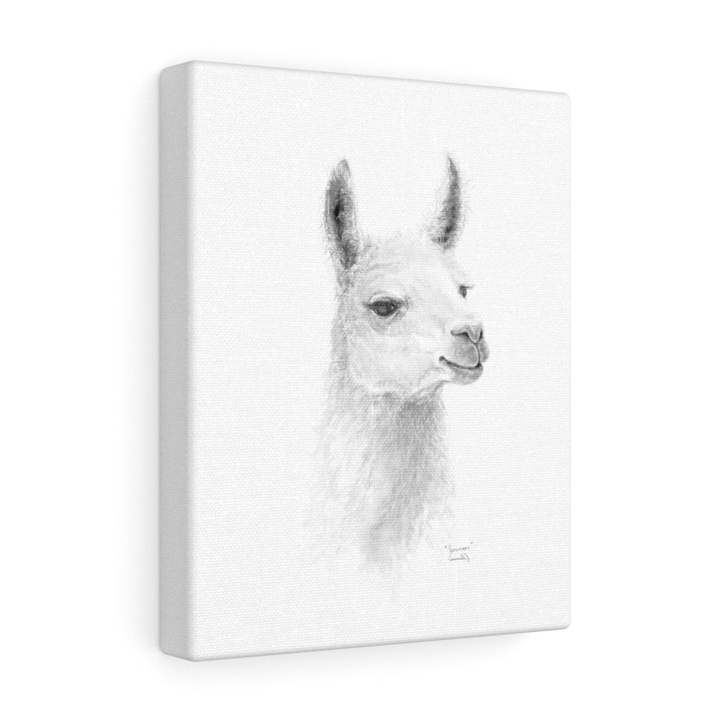 JOUNEER Llama - Art Canvas