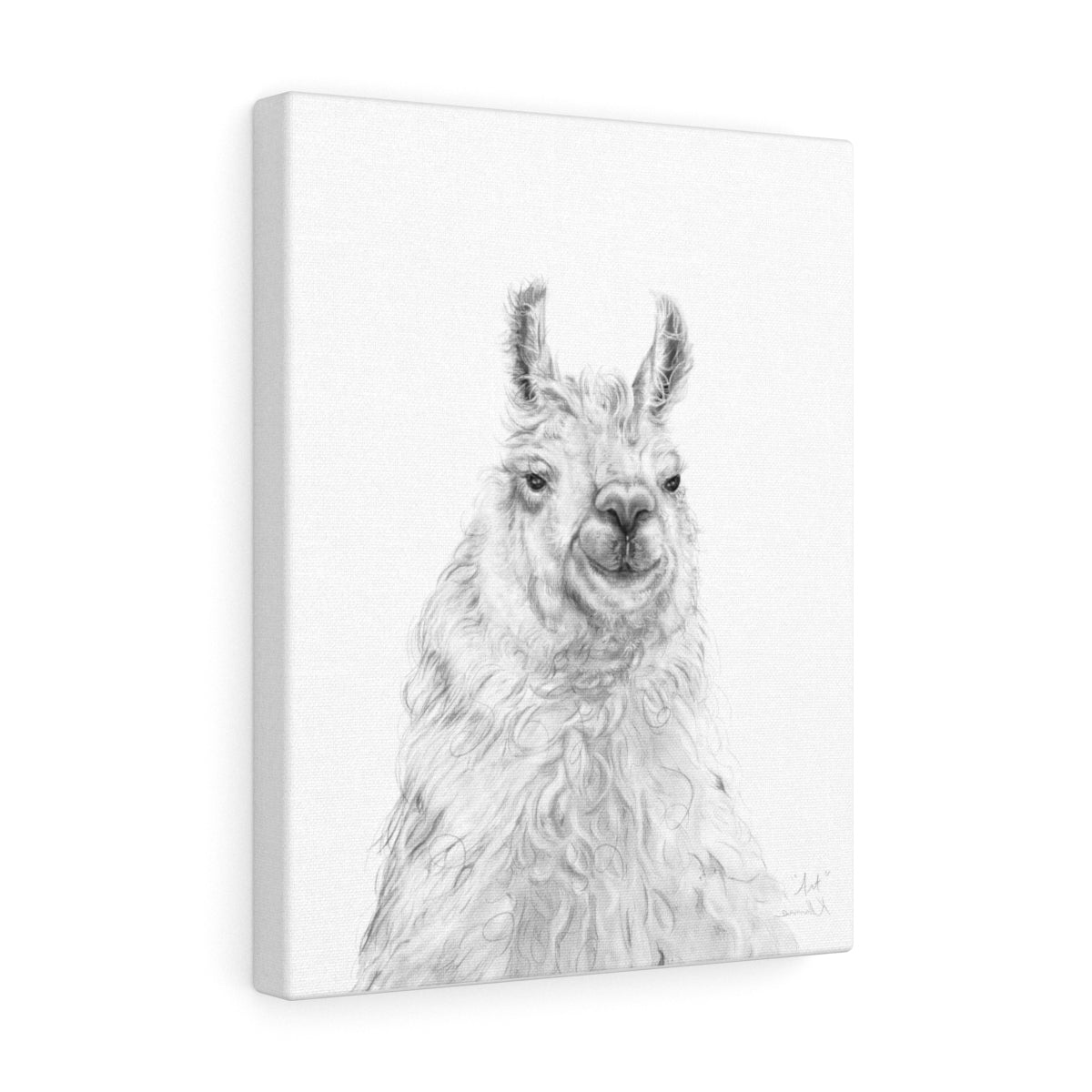 ART Llama - Art Canvas