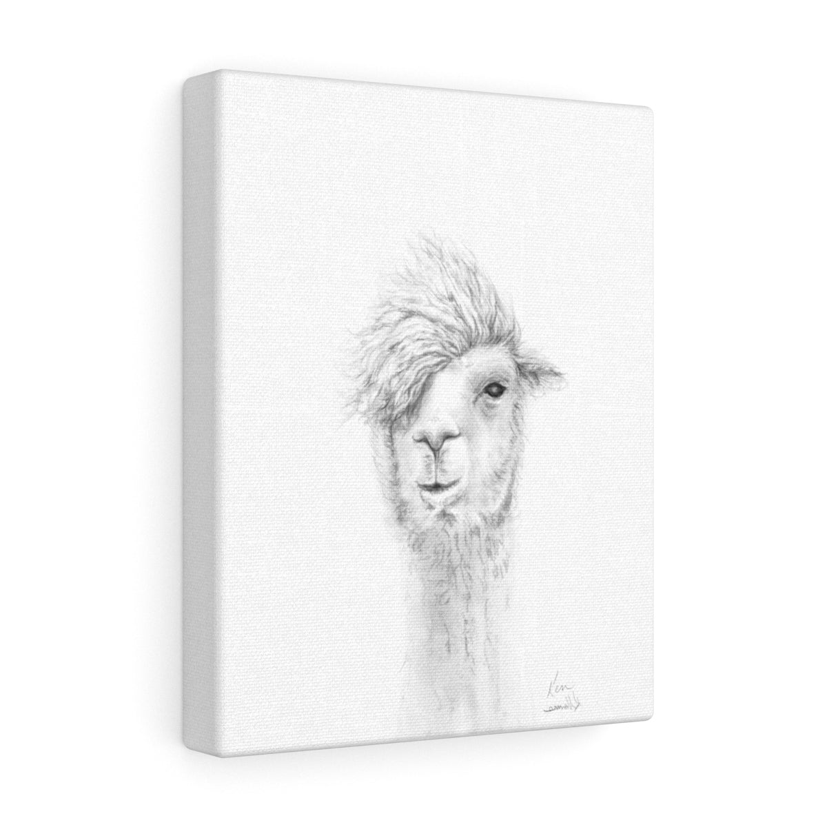 KEN Llama - Art Canvas