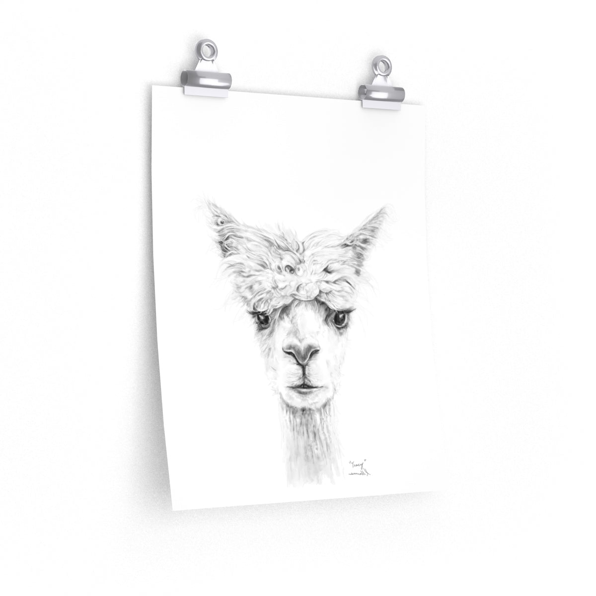 TRACY Llama- Art Paper Print