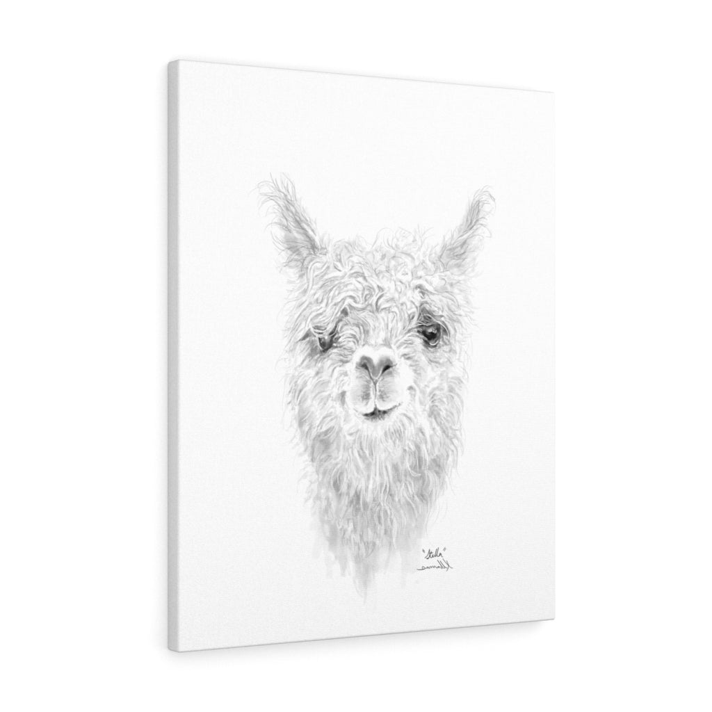 STELLA Llama - Art Canvas