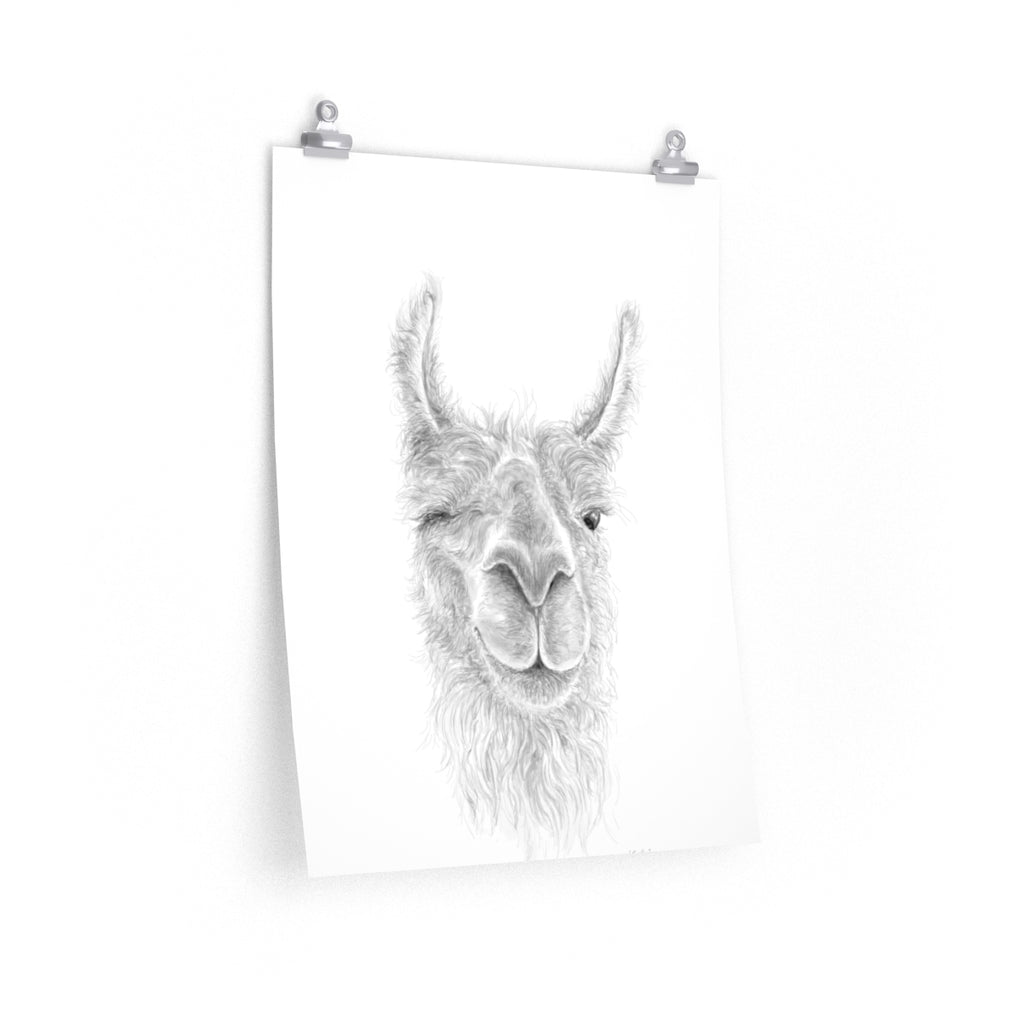 EMILIE Llama- Art Paper Print