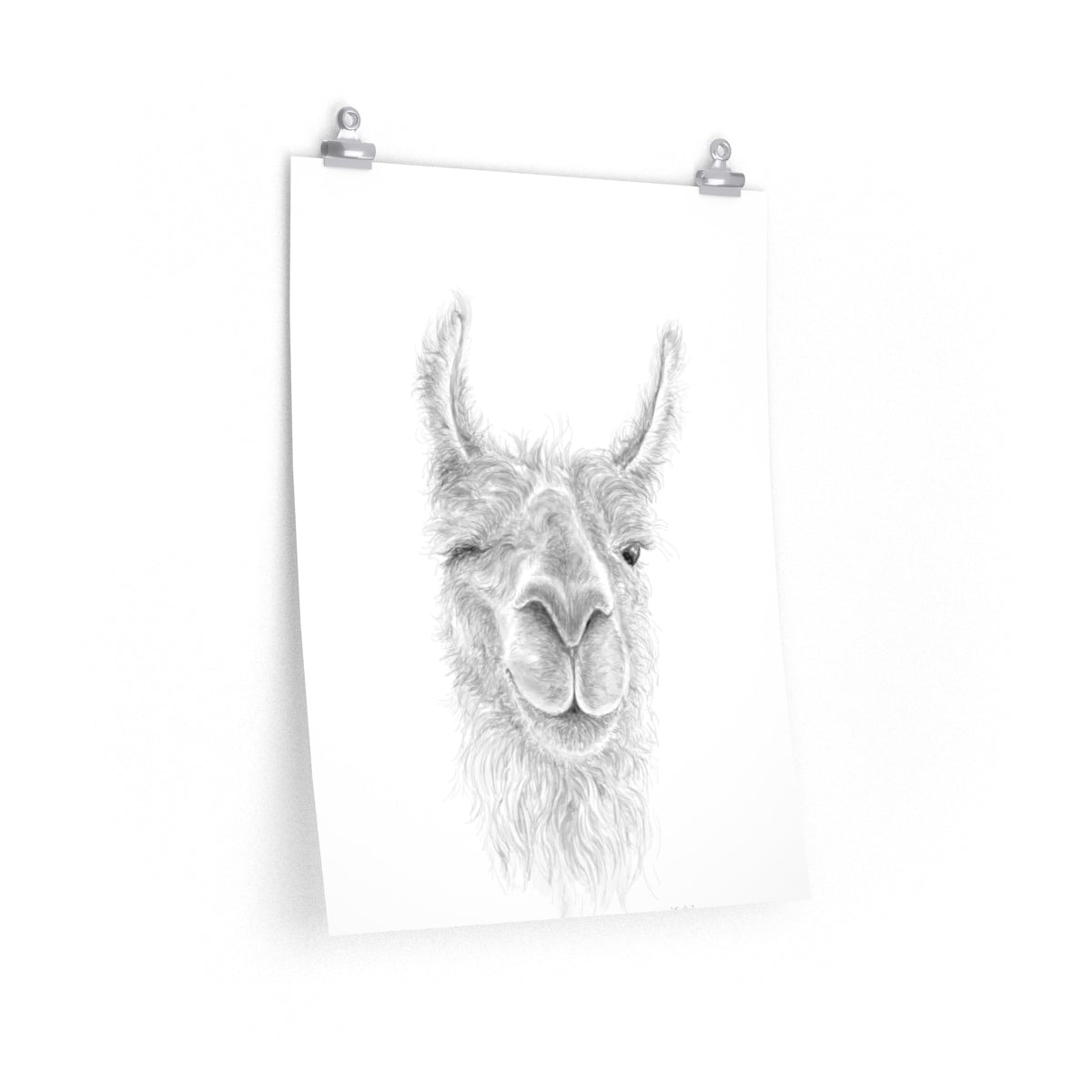 EMILIE Llama- Art Paper Print
