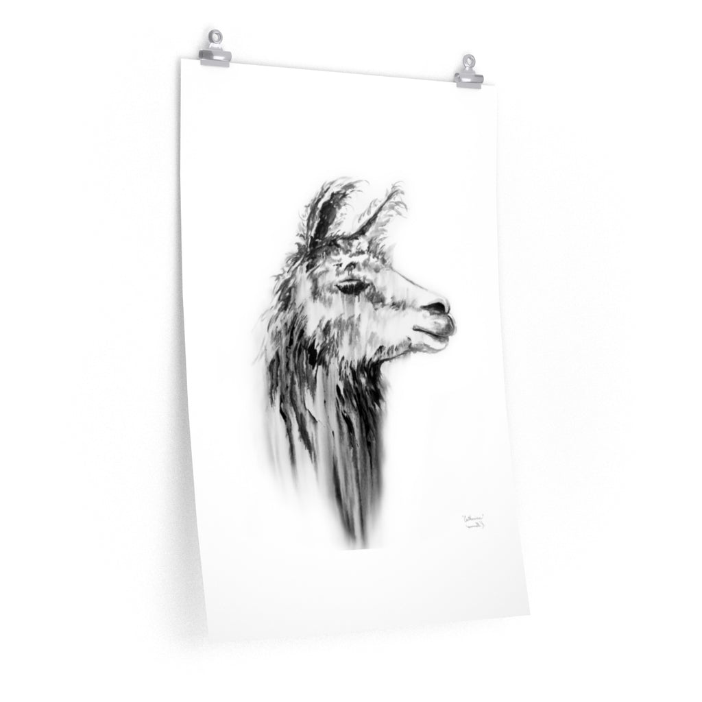 CATHERINE Llama- Art Paper Print