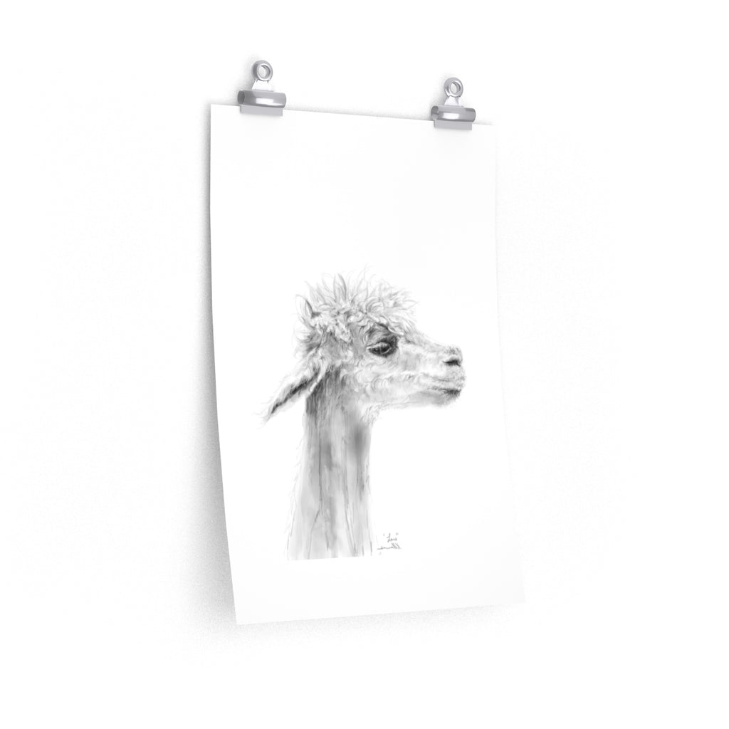 LARS Llama- Art Paper Print
