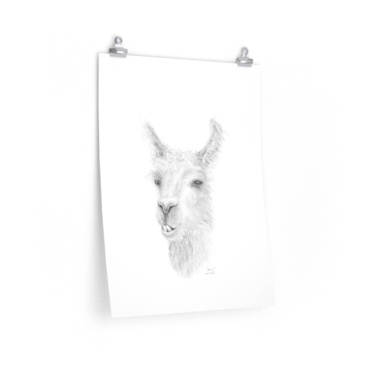 SHAUN Llama- Art Paper Print