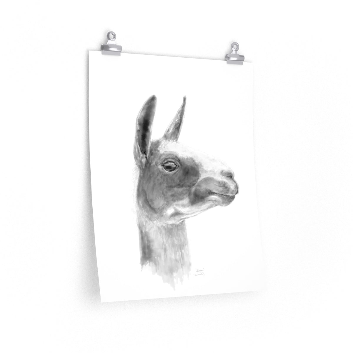 STASIA Llama- Art Paper Print