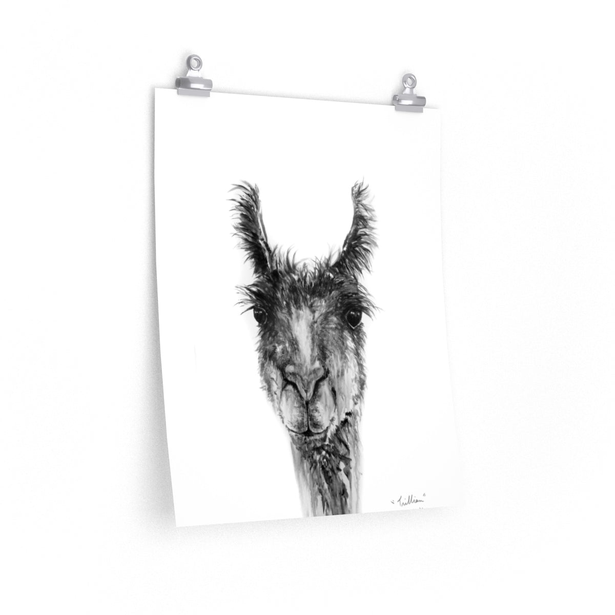 TRILLIAN Llama- Art Paper Print