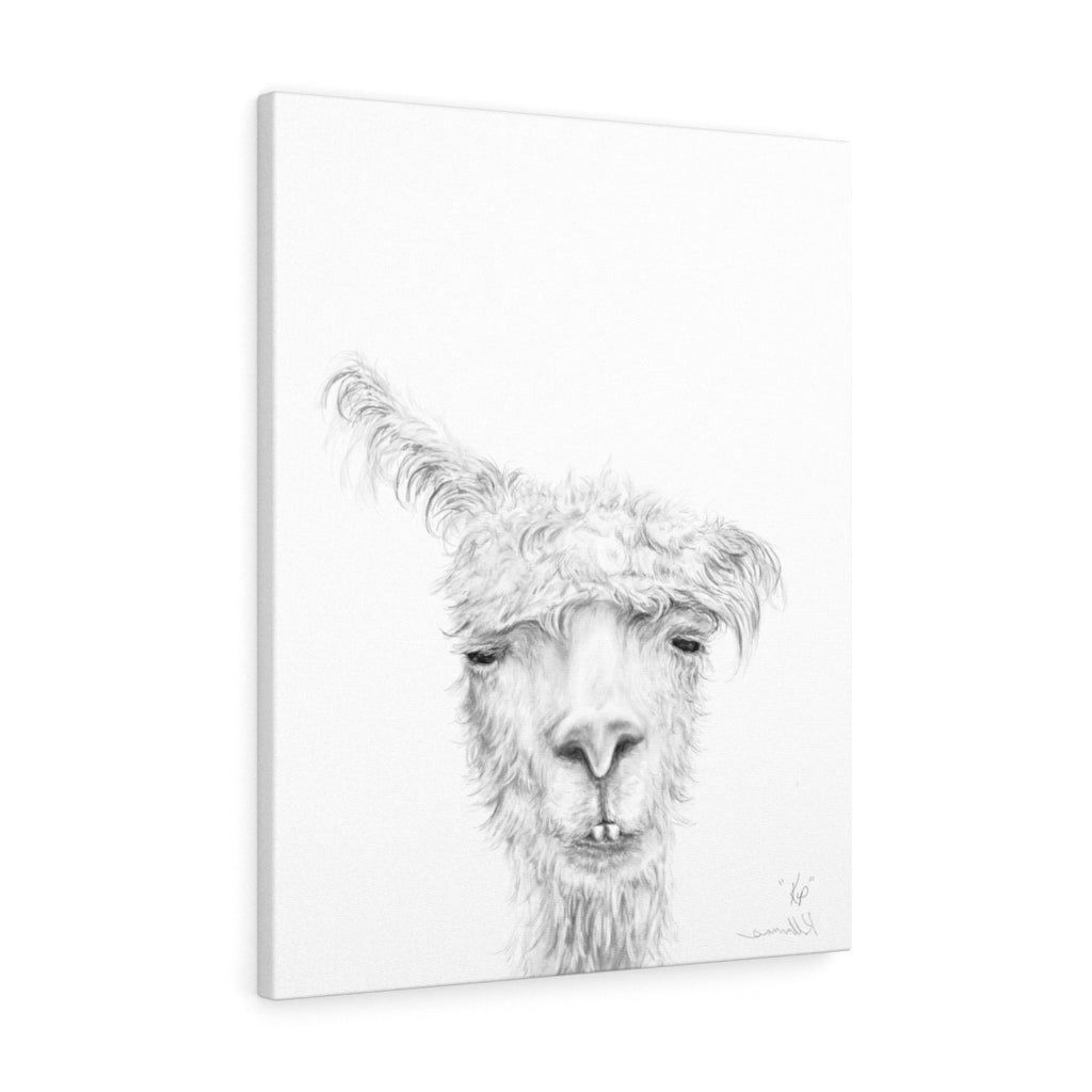 KIP Llama - Art Canvas