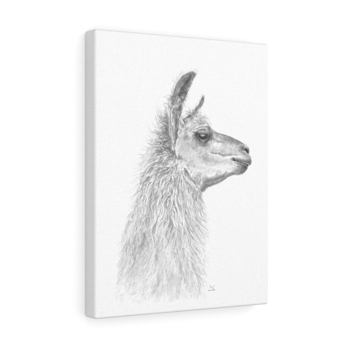 CAROL Llama - Art Canvas