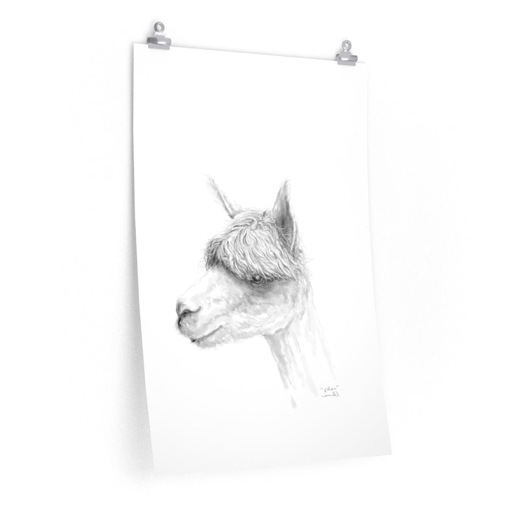 ETHAN Llama- Art Paper Print