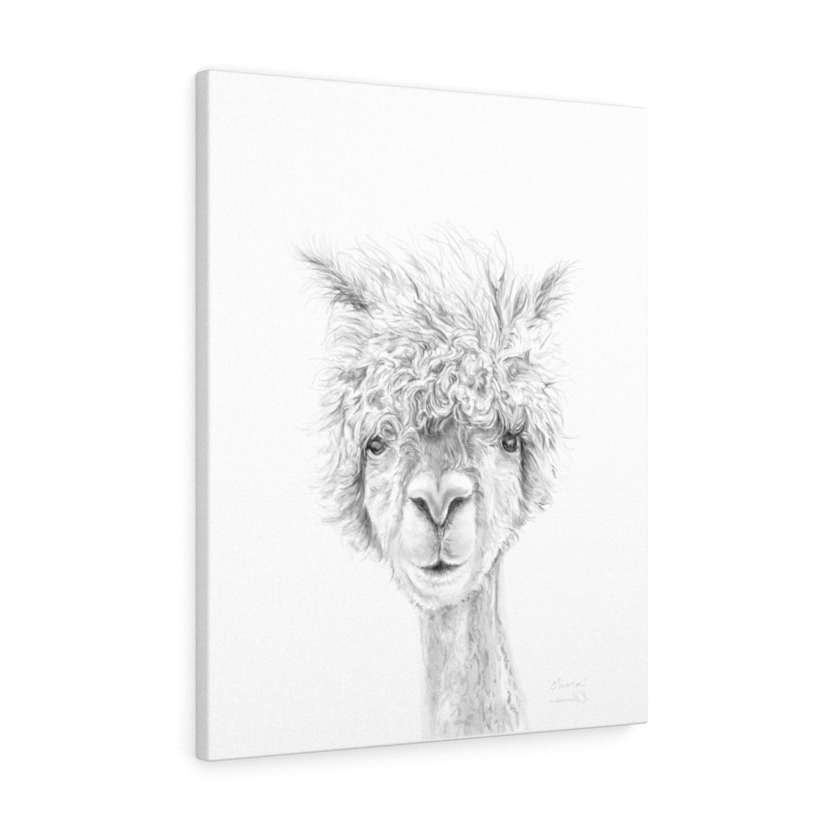 OLIVIA Llama - Art Canvas