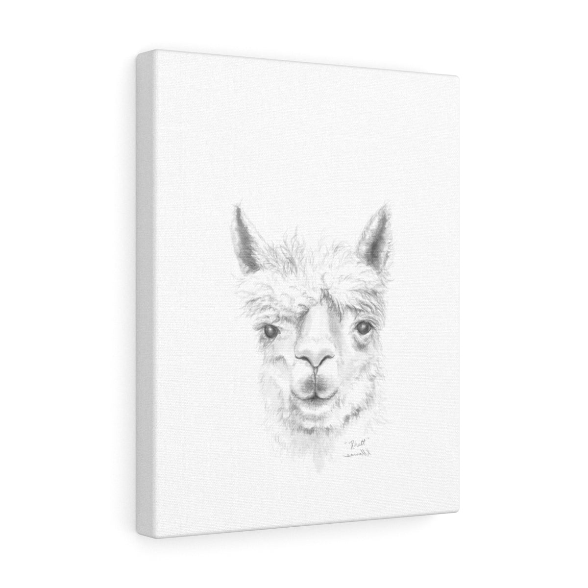 RHETT Llama - Art Canvas